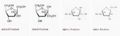 The Different Isomers of Fructose