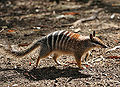 Thumbnail for version as of 18:02, 25 January 2011