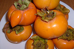 Persimmon Main pic 1.jpg