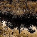 Thumbnail for version as of 21:52, 15 June 2008