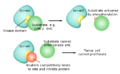 Thumbnail for version as of 04:35, 9 October 2017
