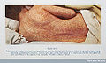 Thumbnail for version as of 02:25, 24 October 2009