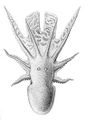 Thumbnail for version as of 02:13, 19 January 2017