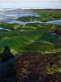 Thumbnail for version as of 01:47, 23 October 2008