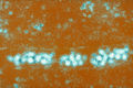Thumbnail for version as of 03:48, 15 October 2014