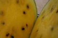 Watermelon (Watermelon) Subtaxa:name