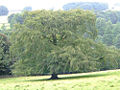 Thumbnail for version as of 01:58, 15 April 2008