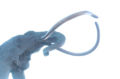 Unidentified mammoth