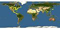 Thumbnail for version as of 04:06, 24 May 2012