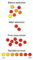 Thumbnail for version as of 22:10, 12 March 2013