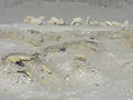 Thumbnail for version as of 14:10, 31 August 2013