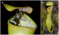 Thumbnail for version as of 00:23, 13 May 2014