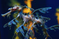 Thumbnail for version as of 23:27, 27 December 2007