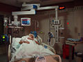 Thumbnail for version as of 20:22, 29 November 2008