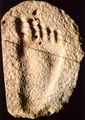 The Burdick track, a human footprint found in Cretaceous rock.