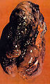 Thumbnail for version as of 20:44, 24 October 2009