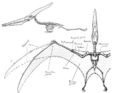 Thumbnail for version as of 18:09, 30 June 2007