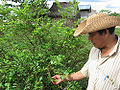 Thumbnail for version as of 03:34, 12 May 2010