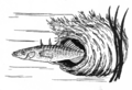 Thumbnail for version as of 05:07, 30 January 2012