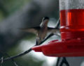 Thumbnail for version as of 22:22, 21 January 2007