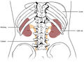 Thumbnail for version as of 20:33, 21 October 2017
