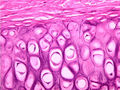 Thumbnail for version as of 18:31, 16 April 2018