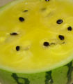 Watermelon (Watermelon) Subtaxa:name