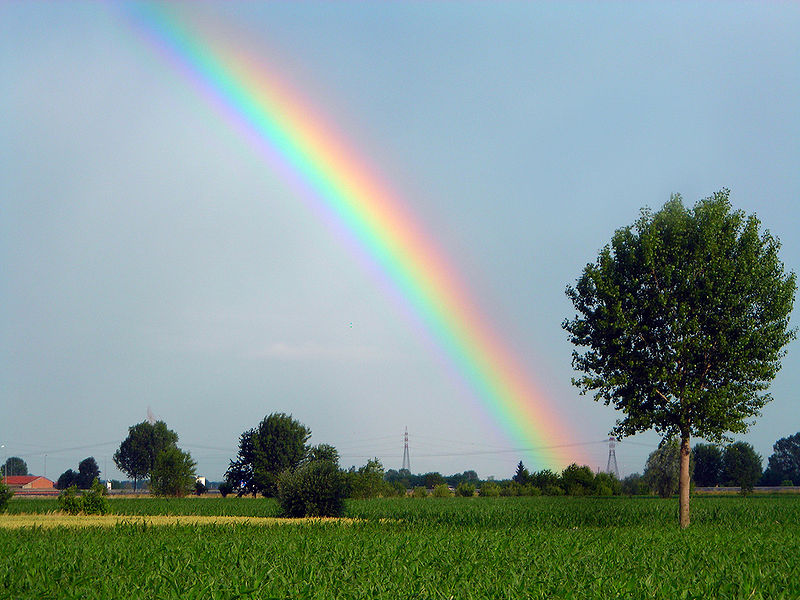 File:Rainbow.jpg