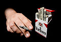 Thumbnail for version as of 00:20, 2 March 2010