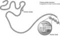 Thumbnail for version as of 02:40, 14 October 2006
