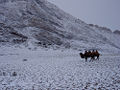 Thumbnail for version as of 23:53, 12 March 2008