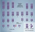 Thumbnail for version as of 10:00, 25 February 2014