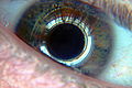 Thumbnail for version as of 06:56, 28 February 2013