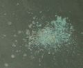 Potassium sulfate 2.jpg