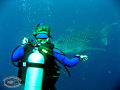 Thumbnail for version as of 11:36, 10 April 2014