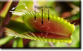 Thumbnail for version as of 02:45, 22 May 2017