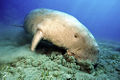 Thumbnail for version as of 03:50, 9 March 2008