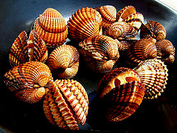 Clams.jpg