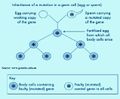 Thumbnail for version as of 20:05, 24 February 2014