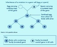 Mutation-sperm-egg.jpg