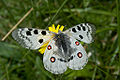 Thumbnail for version as of 04:29, 5 December 2012