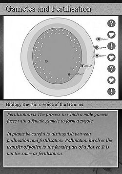 Fertilization 1.jpg