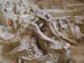 Mammoth graveyard - from Noah's flood.