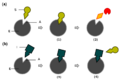 Diagram of competitive enzyme inhibition. (a) Normal reaction, (b) Inhibition. S: substrate; E: enzyme; I: inhibitor; A: active site. (1) Enzyme binds substrate; (2) Enzyme releases products; (3) Enzyme binds inhibitor; (4) Inhibitor competes with substrate.