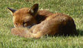 Thumbnail for version as of 02:21, 11 March 2008