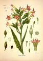 Thumbnail for version as of 02:04, 28 May 2013