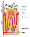 Thumbnail for version as of 05:14, 31 January 2012