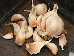 Meadow Garlic 4.jpg