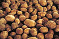 Thumbnail for version as of 04:06, 23 April 2009