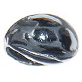 Osmium bead